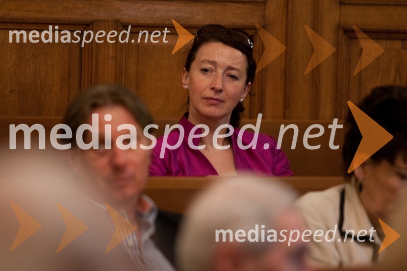 25. seja mestnega sveta Mestne občina Ljubljana