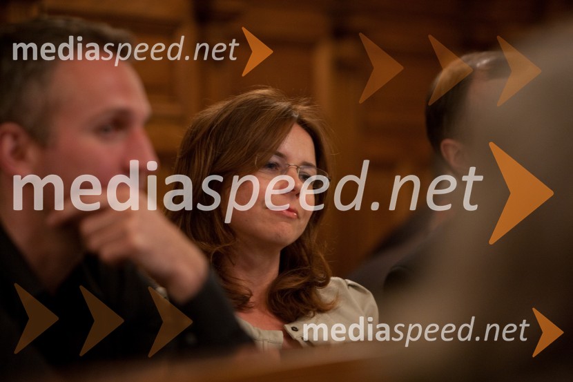 Maša Kociper25. seja mestnega sveta Mestne občina Ljubljana