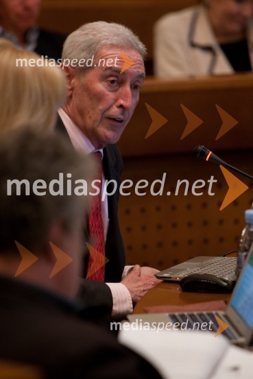 Aleš Čerin, podžupan Mestne občine Ljubljana25. seja mestnega sveta Mestne občina Ljubljana