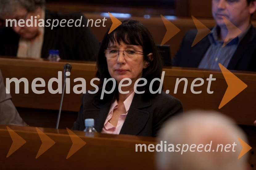 Mojca Škrinjar25. seja mestnega sveta Mestne občina Ljubljana