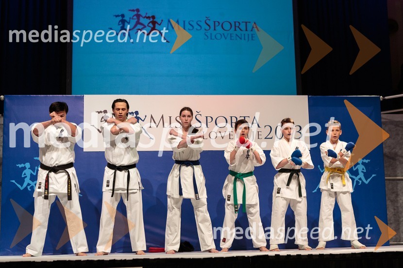 Miss Športa Slovenije 2013, finale
