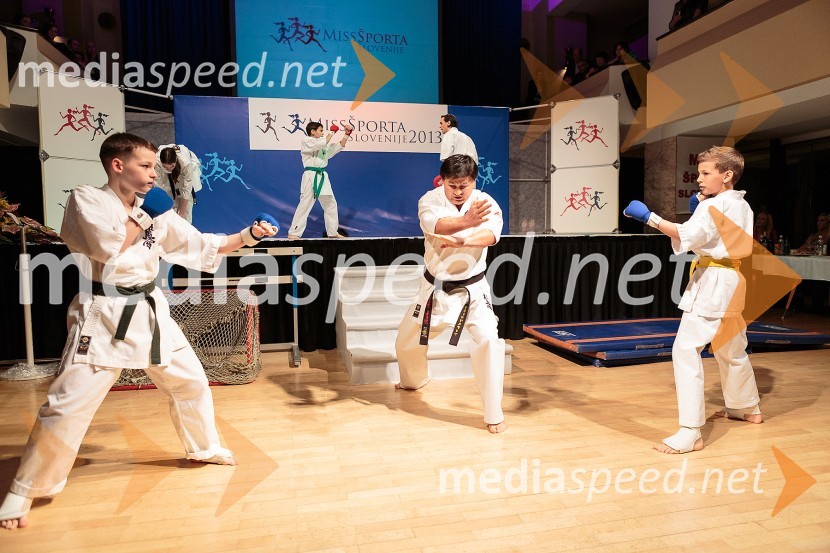Miss Športa Slovenije 2013, finale