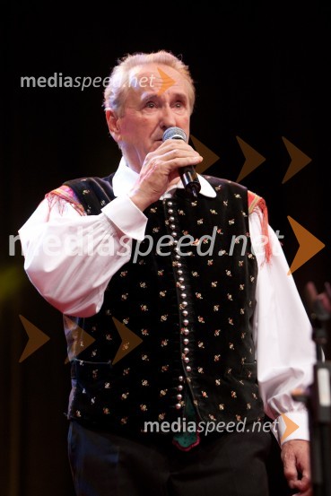 Andrej BergantPoklon Lojzetu Slaku in njegovi glasbi