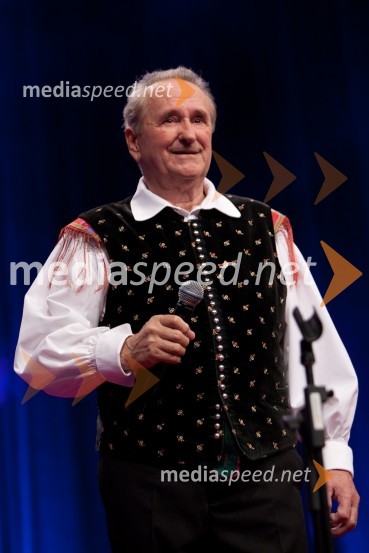 Andrej BergantPoklon Lojzetu Slaku in njegovi glasbi