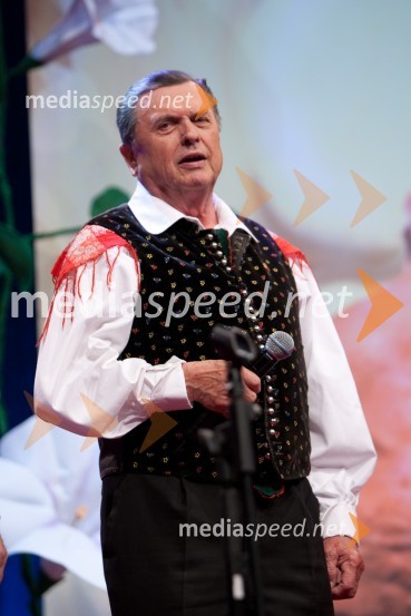 Janez DolencPoklon Lojzetu Slaku in njegovi glasbi