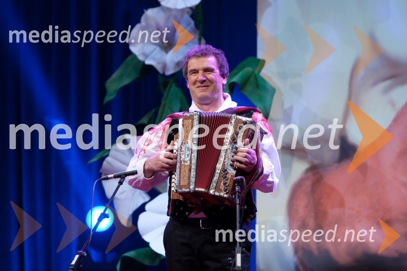 Tine Lesjak, glasbenikPoklon Lojzetu Slaku in njegovi glasbi