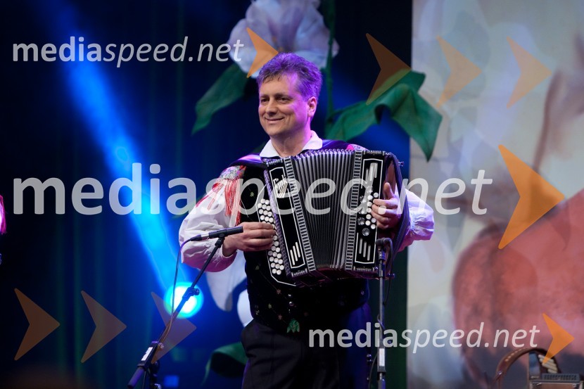 Peter Fink, glasbenikPoklon Lojzetu Slaku in njegovi glasbi