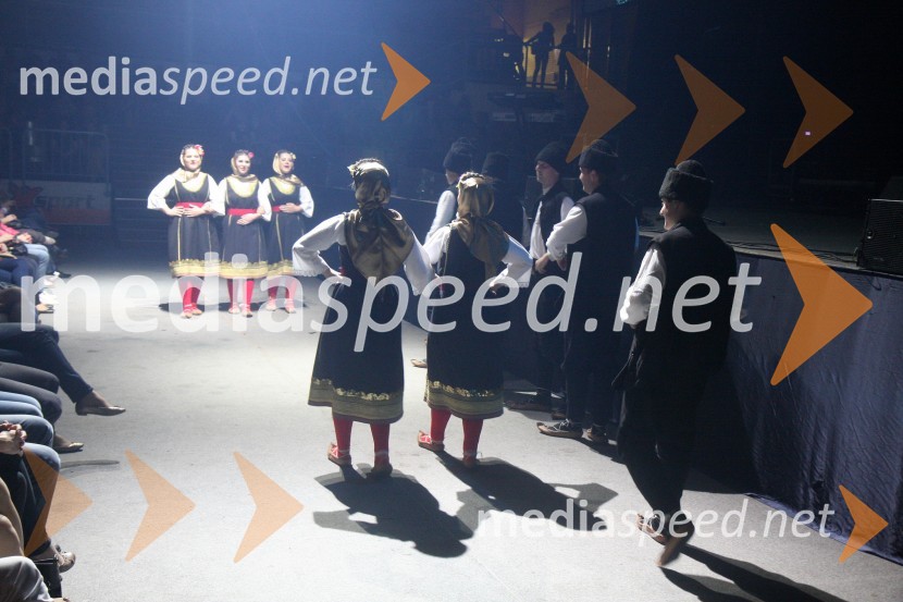 Srpsko kulturno društvo MariborŽeljko Joksimović, koncert v dvorani Tabor