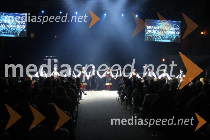 Srpsko kulturno društvo MariborŽeljko Joksimović, koncert v dvorani Tabor