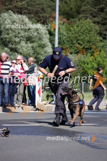 Zoran Brezočnik, vodnik psovV sožitju rešujemo življenja, predstavitev reševalnih enot