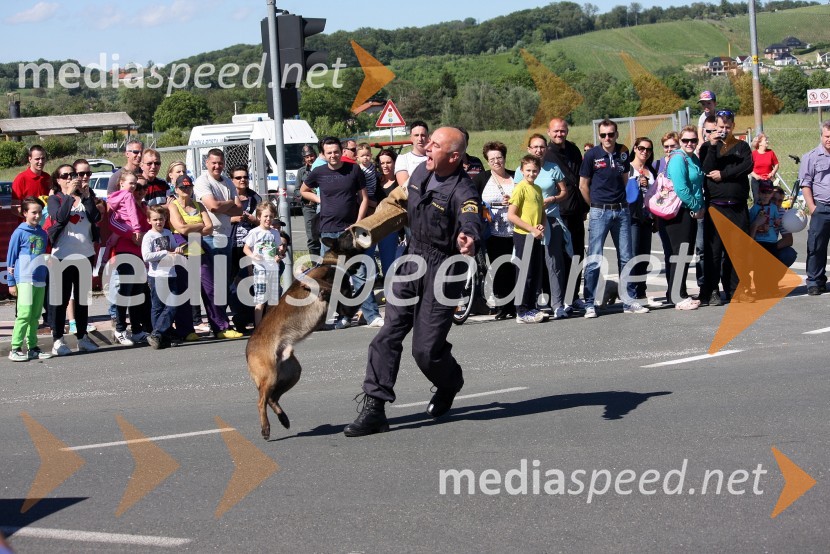 Policist s psom&nbsp;V sožitju rešujemo življenja, predstavitev reševalnih enot