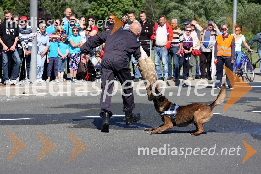 Policist s psom&nbsp;V sožitju rešujemo življenja, predstavitev reševalnih enot