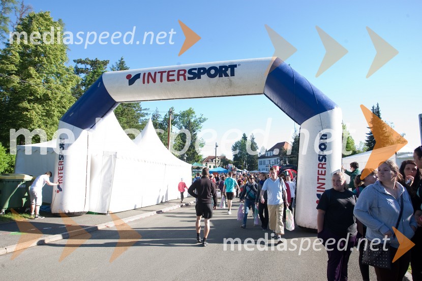 33. Maraton treh src, utrinki