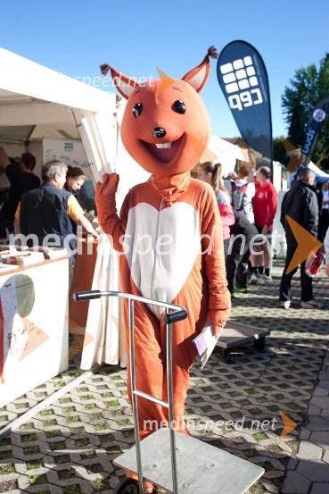 33. Maraton treh src, utrinki