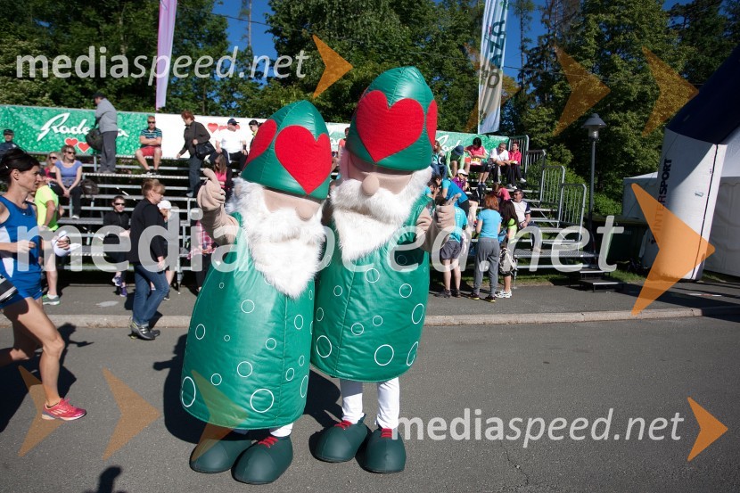 33. Maraton treh src, utrinki