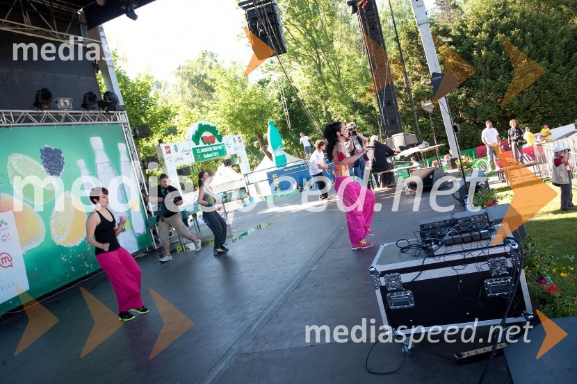 33. Maraton treh src, utrinki