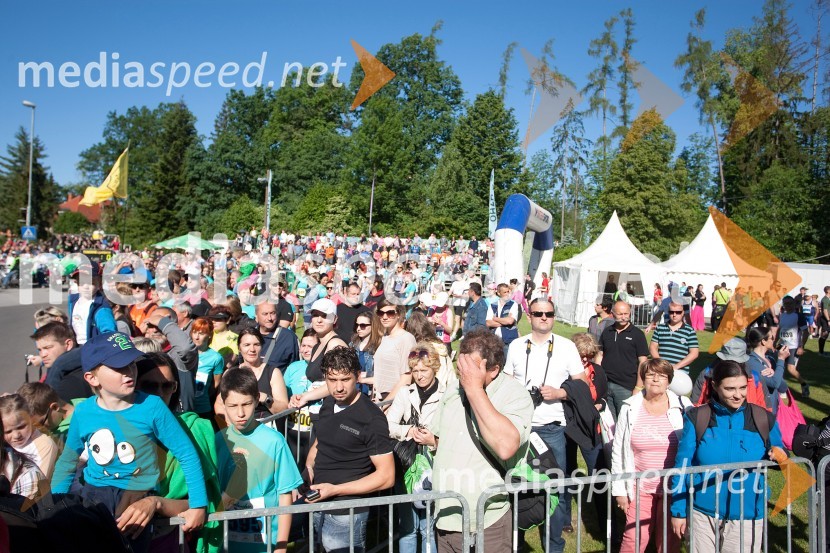 Obiskovalci33. Maraton treh src, utrinki