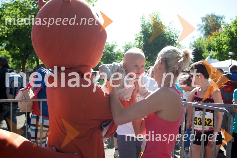 33. Maraton treh src, utrinki