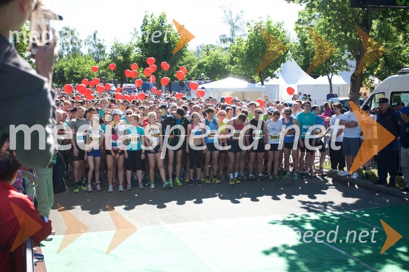 33. Maraton treh src, utrinki