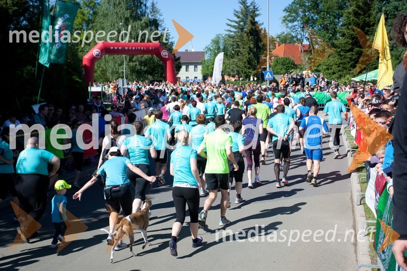 33. Maraton treh src, utrinki