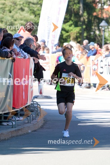 Alen Mir (5157)33. Maraton treh src, tekači