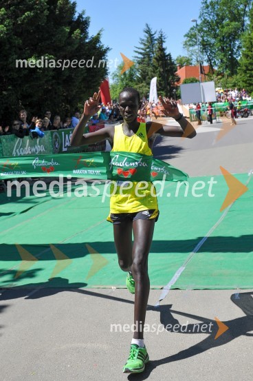 33. Maraton treh src, utrinki