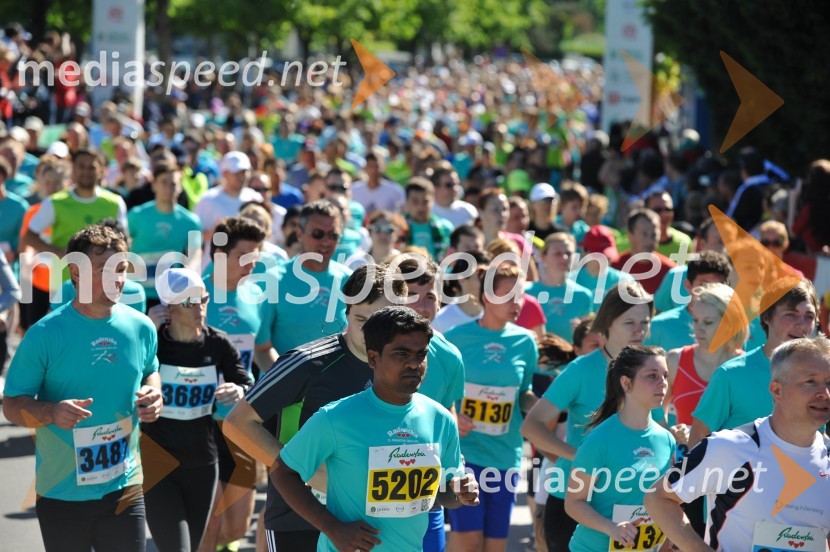 33. Maraton treh src, tekači