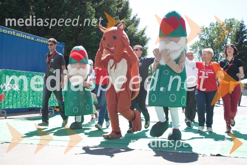 33. Maraton treh src, utrinki