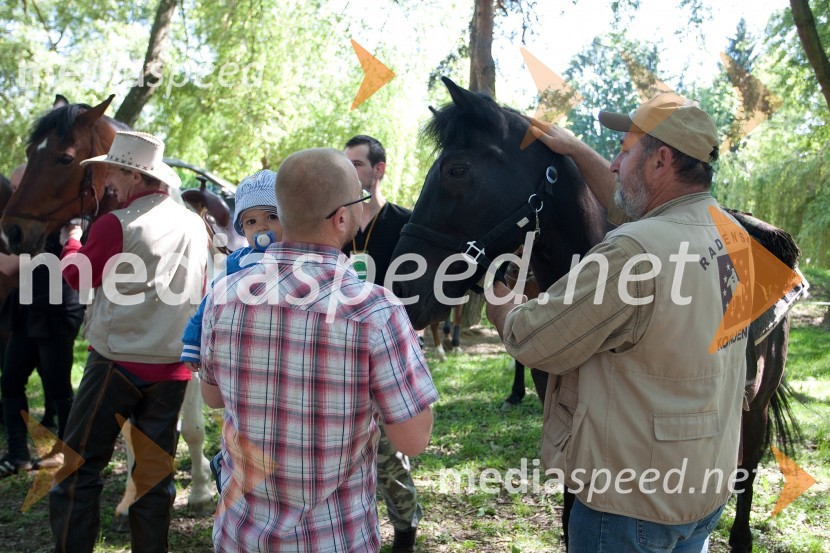 33. Maraton treh src, utrinki