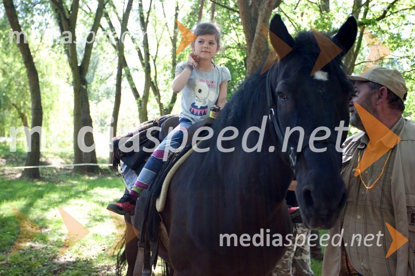 33. Maraton treh src, utrinki