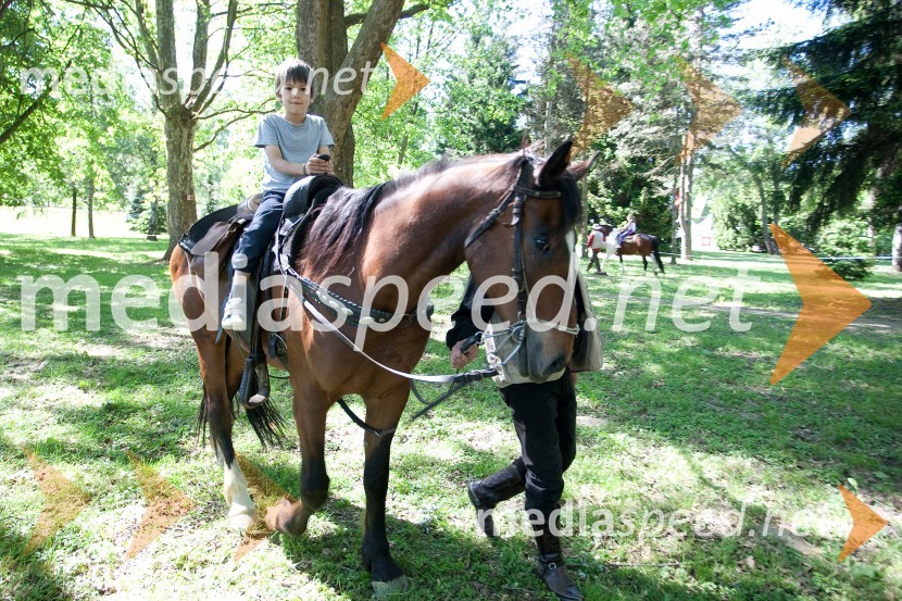 33. Maraton treh src, utrinki