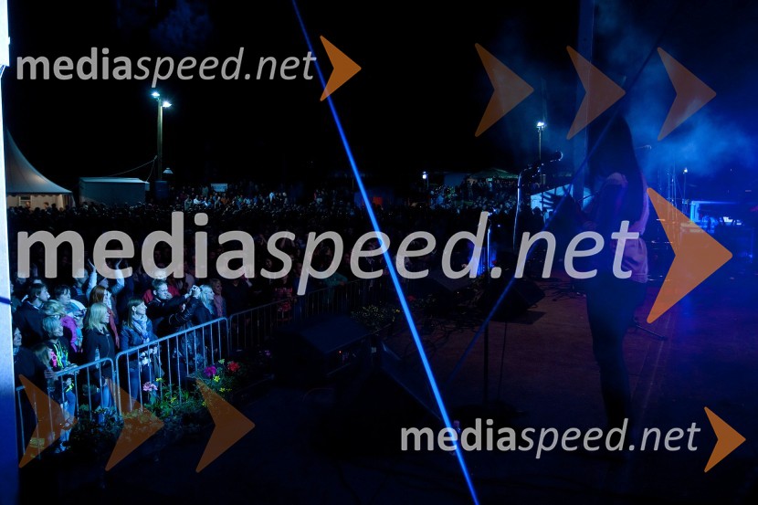 33. Maraton treh src, utrinki