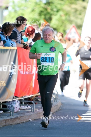 33. Maraton treh src, tekači
