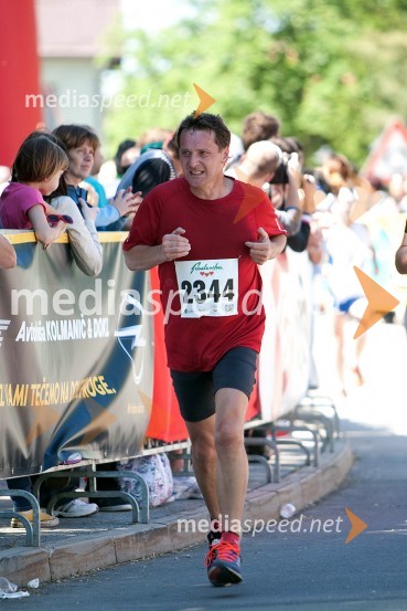 Jože Videnšek (2344)33. Maraton treh src, tekači