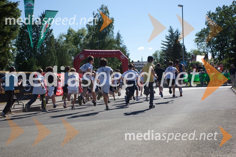 33. Maraton treh src, tekači