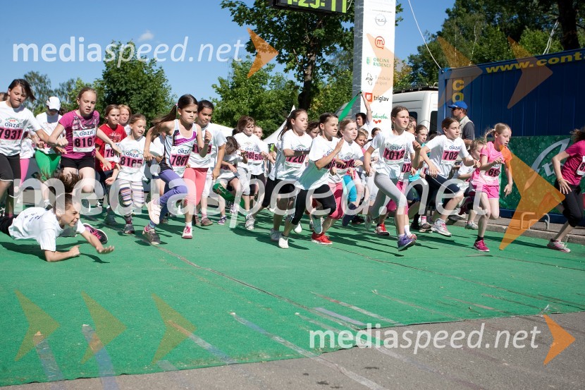 33. Maraton treh src, tekači