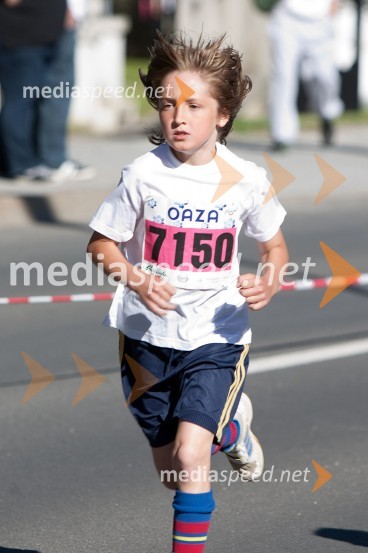 33. Maraton treh src, tekači