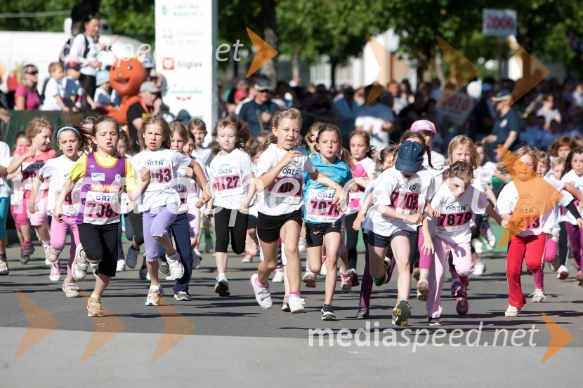 33. Maraton treh src, tekači