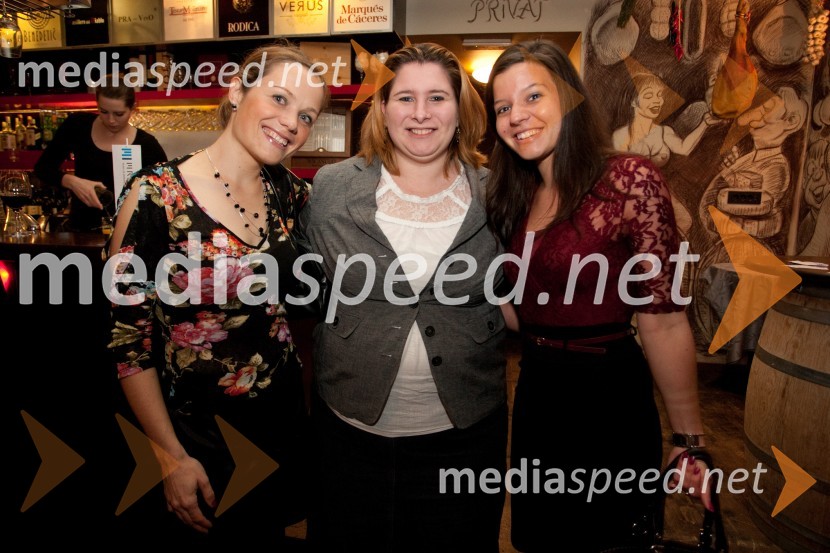 Obiskovalke večera z MIranom AlišičemVečer idej z Miranom Ališičem