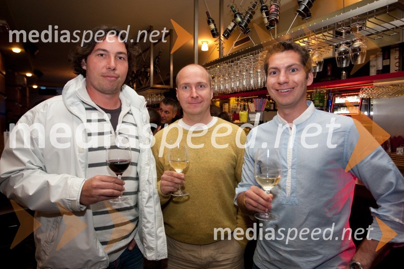 ...; ...; Mark Boris Andrijanič, vodja Mreže idejVečer idej z Miranom Ališičem