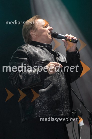 Alfi Nipič, pevecLampiončki 2013