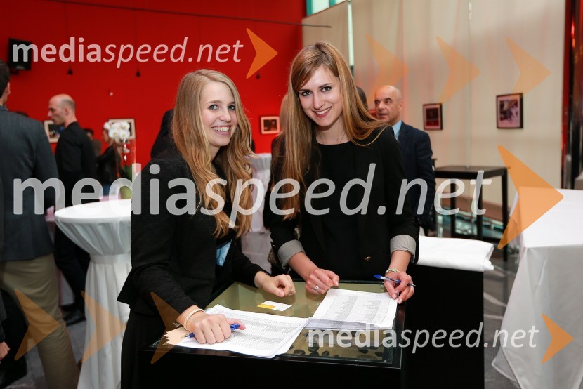 AmCham, Top Potential of the Year 2013