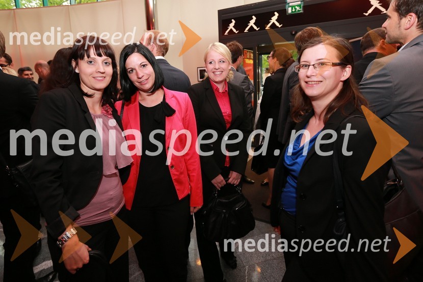 AmCham, Top Potential of the Year 2013
