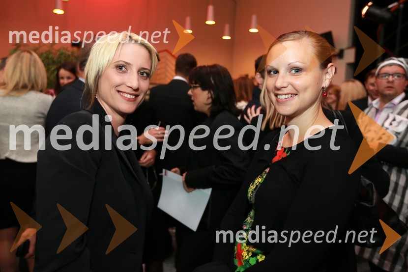 AmCham, Top Potential of the Year 2013