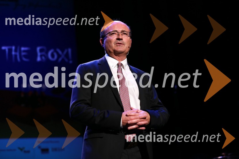 Thierry Villard, direktor Goodyear Dunlop Sava TiresAmCham, Top Potential of the Year 2013