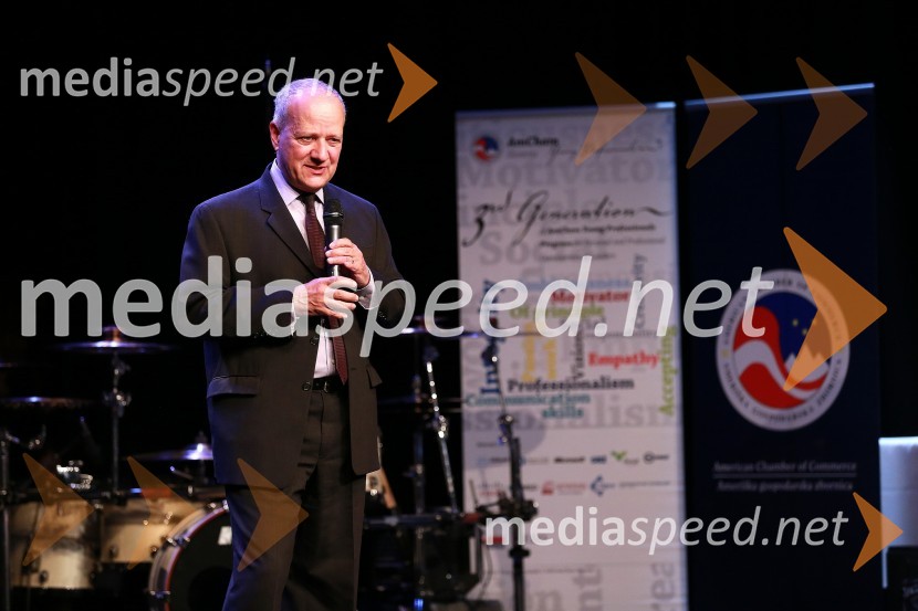 Joseph Adamo Mussomeli, veleposlanik Združenih držav Amerike v SlovenijiAmCham, Top Potential of the Year 2013