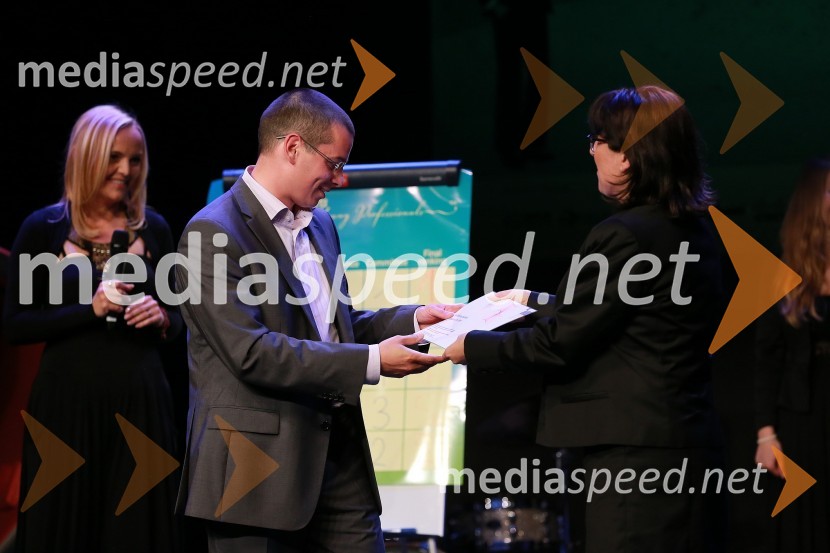 Blaž Jakič, Zavarovalnica Triglav; ...AmCham, Top Potential of the Year 2013
