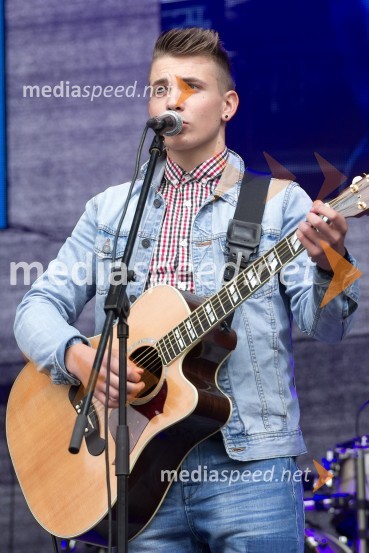 Žan Serčič, pevecRadio City, koncert 2013