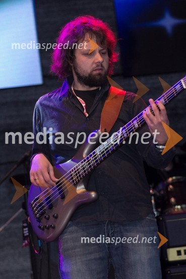 Radio City, koncert 2013