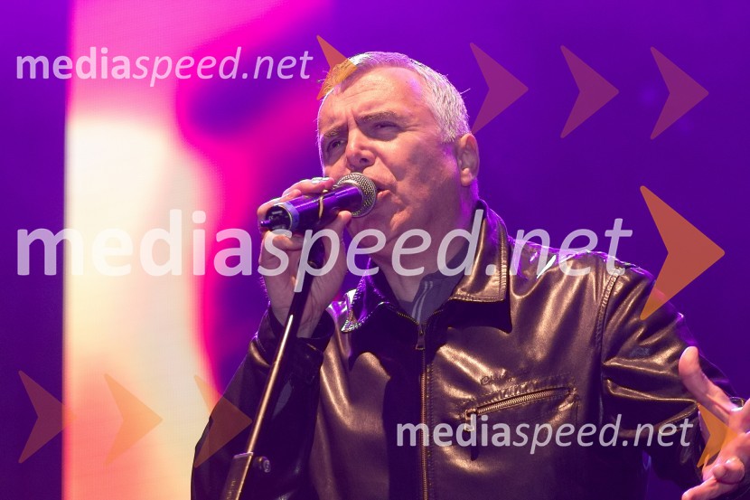 Zoran Predin, glasbenikRadio City, koncert 2013